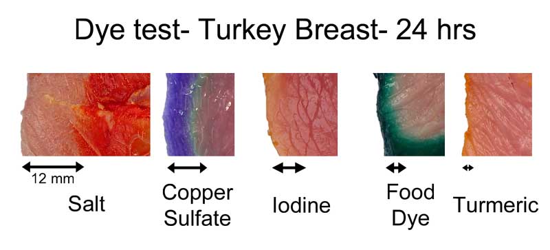 turkey breast dye test