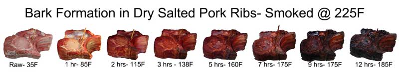 country ribs sequence bark formation