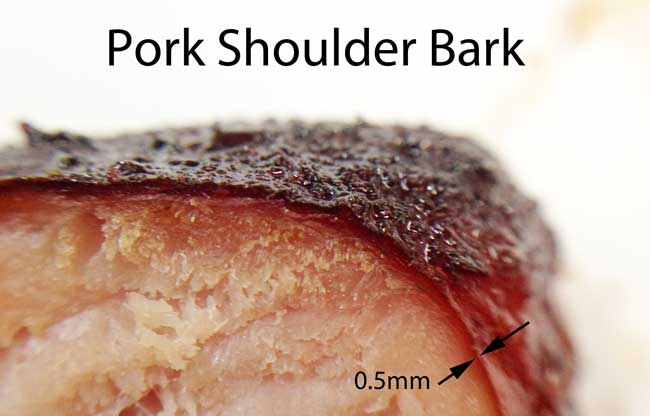 bark cross-section