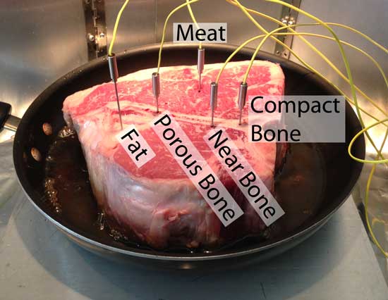 TC probe position in meat