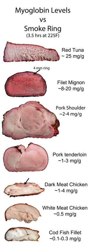 smoke ring vs myoglobin