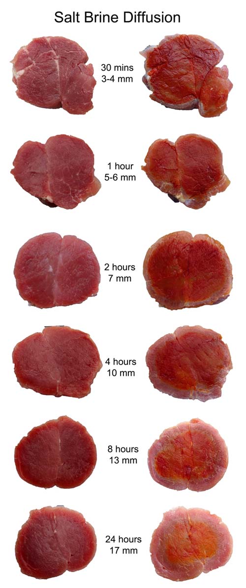 salt diffusion in pork