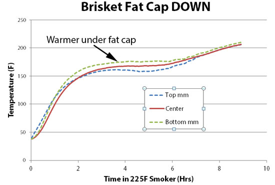 Brisket Temperature Chart