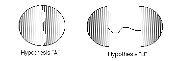 Galileo