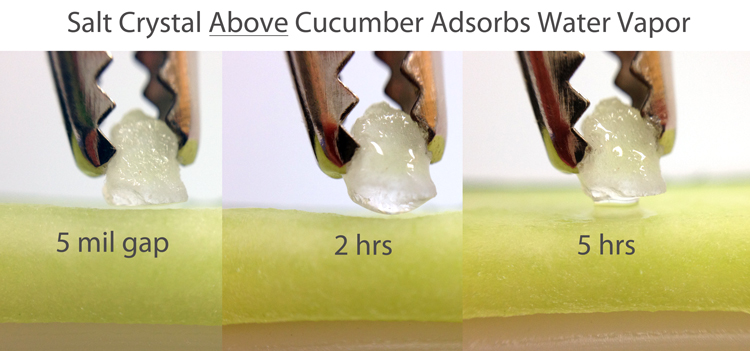 salt above cucumber slice