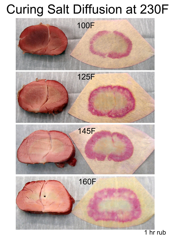 nitrate nitrite diffusion