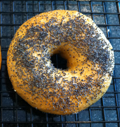 poppy seed bagel