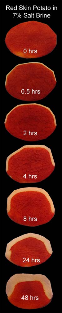 potato salt brine diffusion